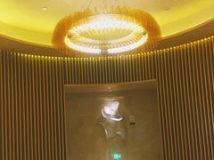 -苏州金鸡湖文博诺富特酒店
