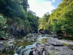 -广州白江湖森林公园