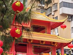 -越秀西湖花市(广州城市广场花卉店)
