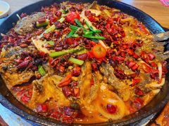 -老板恋上鱼(恒隆广场店)