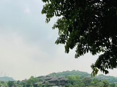 -重庆园博园