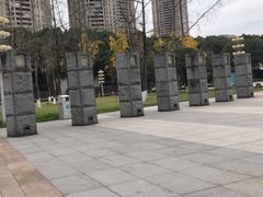 -重庆市江北嘴中央商务区中央公园