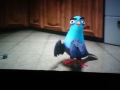 -奥斯卡西元国际影城(4K激光巨幕&杜比全景声沙发座椅)