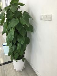 点击看大图 -蕾特恩专业祛痘·皮肤管理