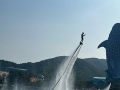 -珠海长隆海洋王国