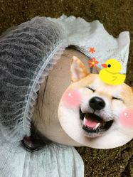 -敖东酵素·离子暖房