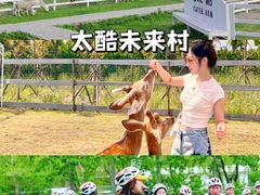 -极限PLAY运动娱乐新世界·团建派对潮玩休闲馆·室内蹦极高空游乐园