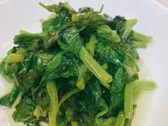五粮液嫩豆苗-玫瑰厅上海菜(兴国路店)
