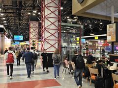 -谢列梅捷沃国际机场