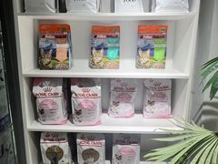 -青奢宠物·青奢猫舍