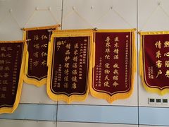 -中农国际动物医院24小时·猫科·骨科·急重症中心