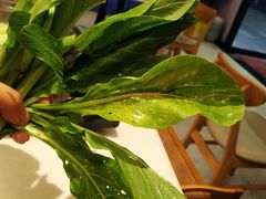 -冯姐生蚝(迎宾广场店)