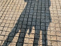 -海棠烟雨公园
