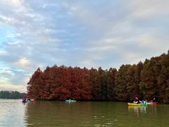 -上海海湾国家森林公园