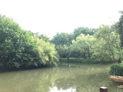 -西溪国家湿地公园