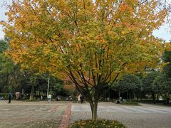 -成都中医药大学(温江校区)