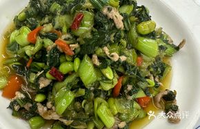 Vegetable and Mung Bean Shreds