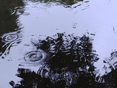 -成都市活水公园
