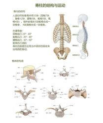 点击看大图 -JC·YOGA静禅瑜伽普拉提