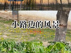 -洨河生态公园
