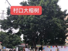 -丰圆轩粤式茶楼 . 点心粤菜(夏茅店)