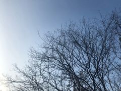 -仙岳公园