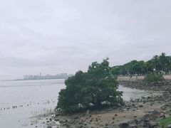 -深圳湾公园(南山区)