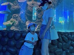 -石家庄海洋公园