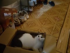 -深圳野生动物园