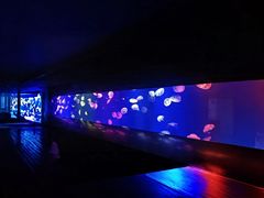 -成都浩海立方海洋公园