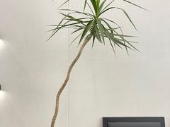 -M Stand(西安大悦城店)