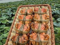 -七的湖·晚芳亭·阳澄湖农家菜·大闸蟹(莲花岛店)