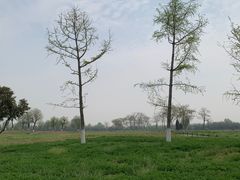 -汉长安城未央宫国家考古遗址公园