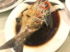 武昌鱼-华中科技大学百景园(三楼酒店)