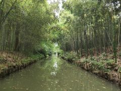 -同里国家湿地公园
