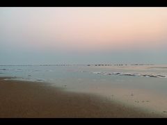 -日照海滨国家森林公园
