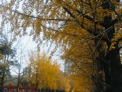 -辽宁大学(崇山校区)
