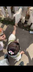-前小桔亲子创意农场·草莓采摘·露营烧烤