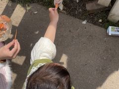 -前小桔亲子创意农场·草莓采摘·露营烧烤