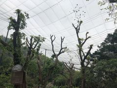 -广州市白云山风景名胜区