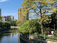 -晓港公园