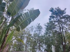 -清远熹乐谷温泉度假酒店