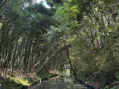 -同里国家湿地公园