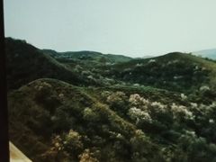 -中华福寿山