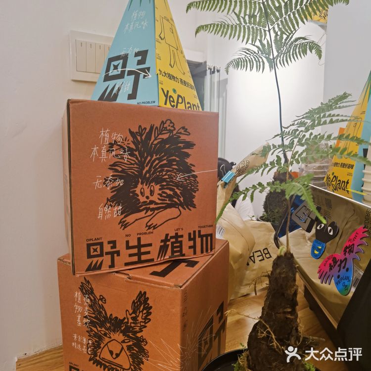 合肥咖啡 | can条不是san条🐠