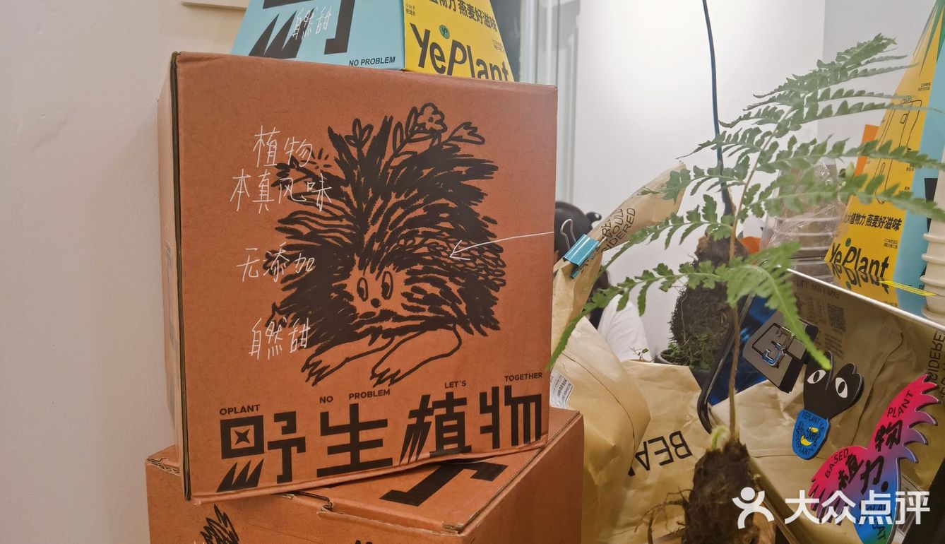 合肥咖啡 | can条不是san条🐠