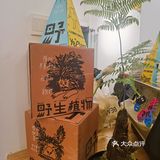 合肥咖啡 | can条不是san条🐠