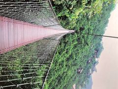 -三亚亚龙湾人间天堂鸟巢度假村