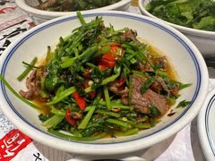 -壹盏灯(惠农店)