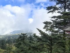 -峨眉山报国寺
